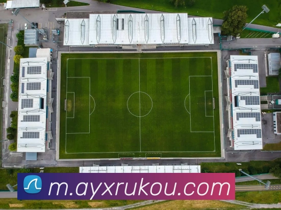 多媒体互动体验